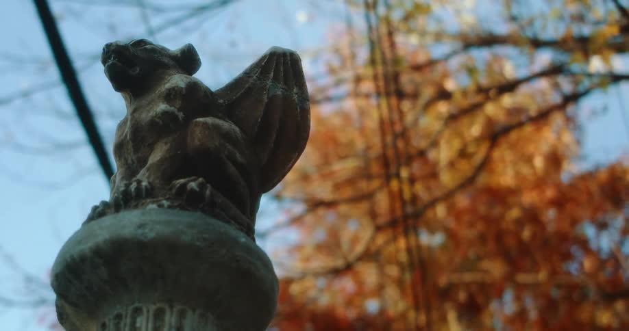 Gargoyle statue with fall trees in the background