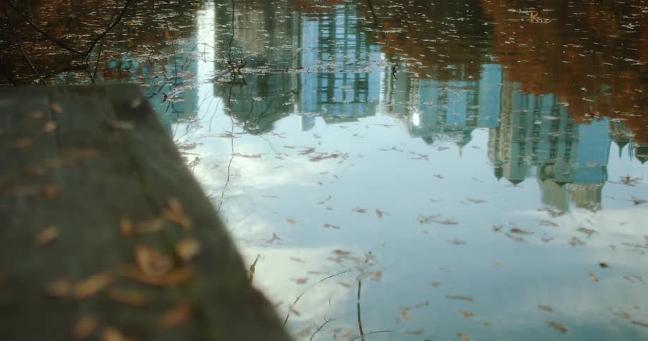 A city skyline is reflected on the surface of a nearby lake