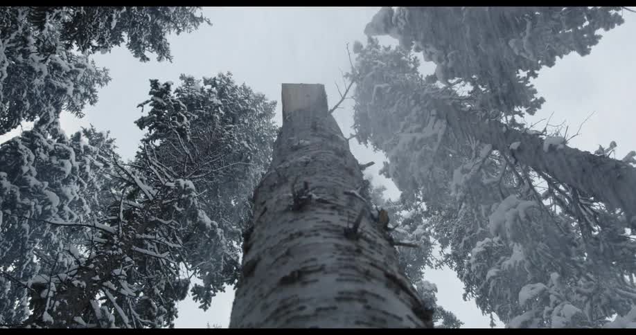 A person jumps over a tree stump with a snowboard