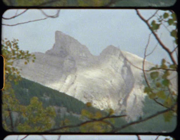 Two trees in a forest with a gap in between them showing mountains in the distance at daytime