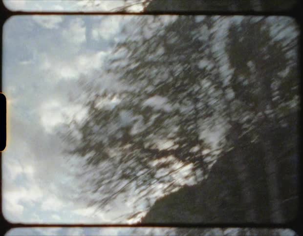 A line of trees surround a canyon
