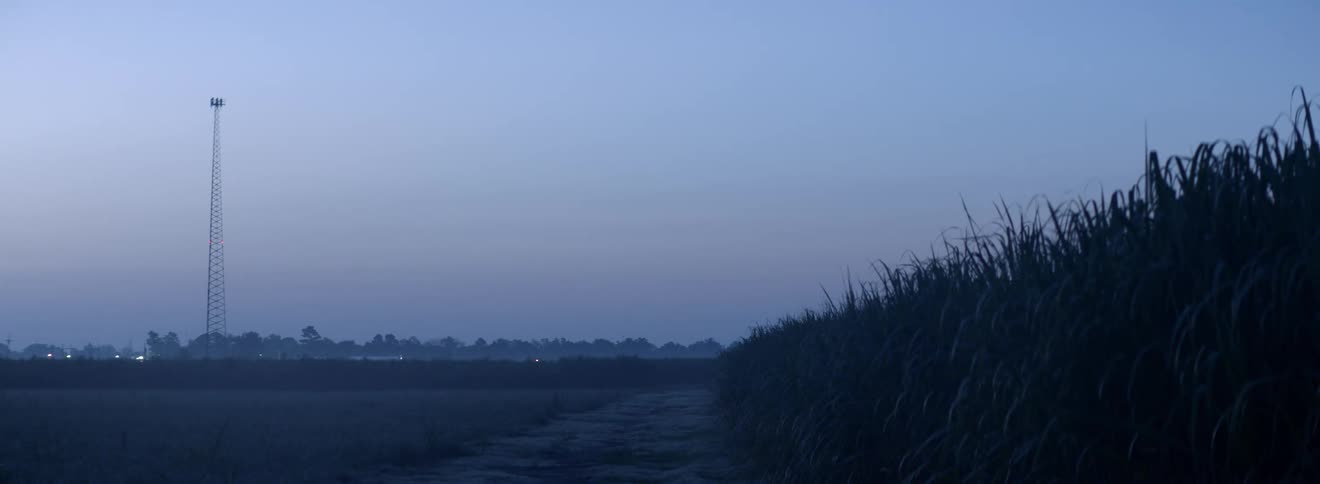The field is empty at sunrise