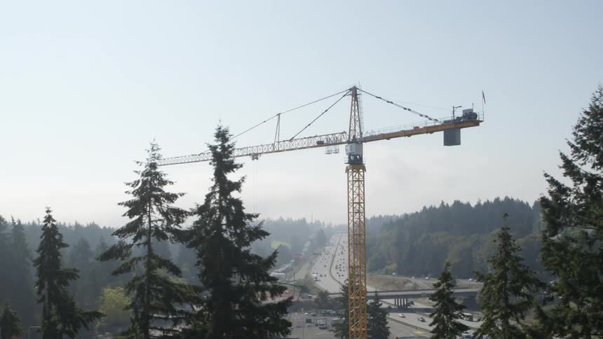Revealing a large steel tower crane from behind a stand of pine trees