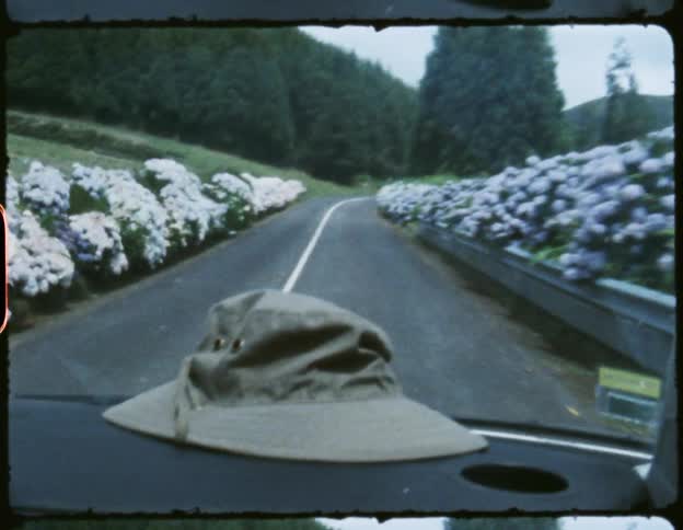 A film strip with a vehicle driving down a road lined with flowers