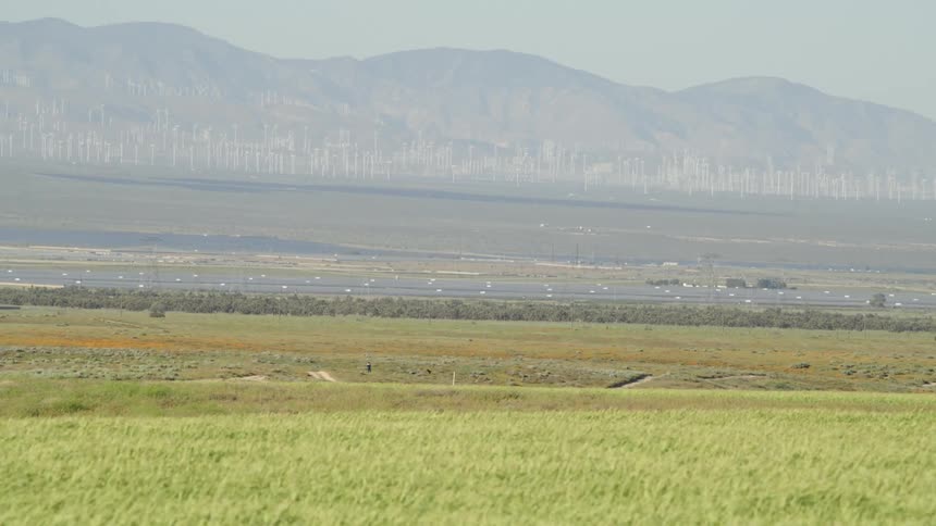 A grassland with hills in the distance