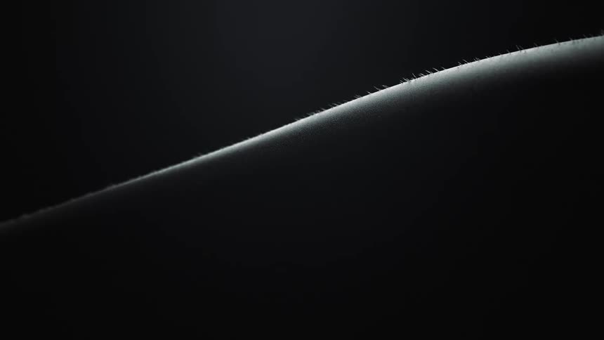 Black and white close up of the hairs standing on the surface of a persons skin in a dark room