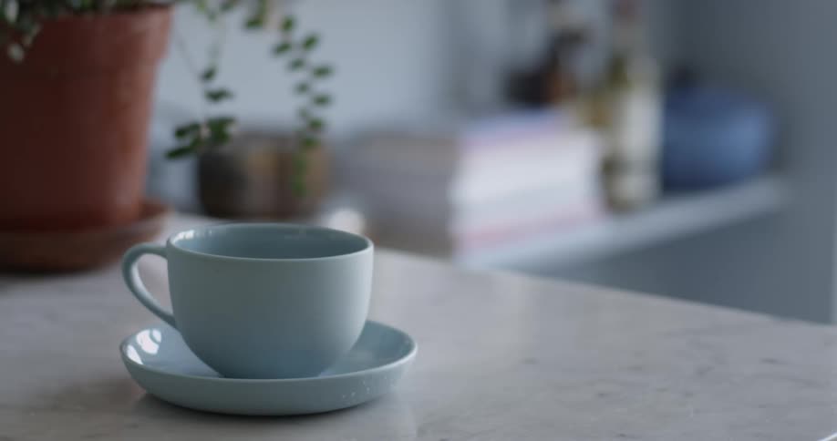 A white cup and saucer sit on a counter top next to a potted plant inside