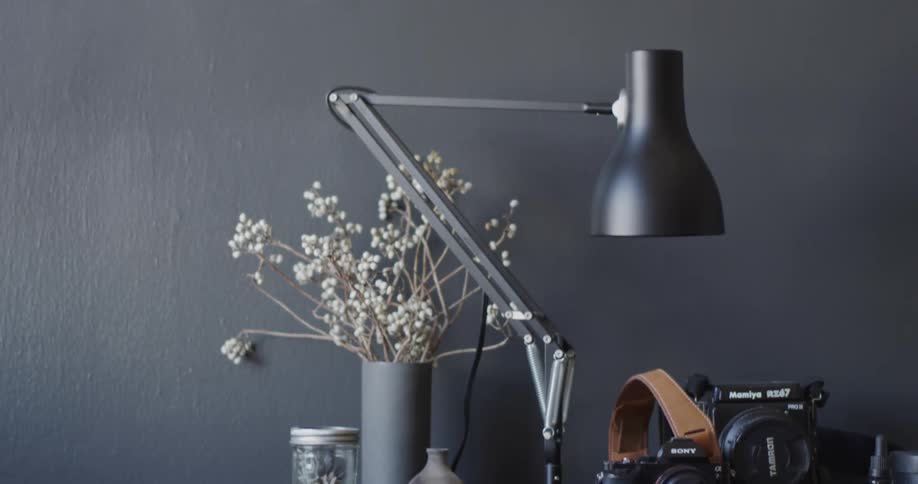 A lamp camera and house plant atop a bed stand in a house during the day