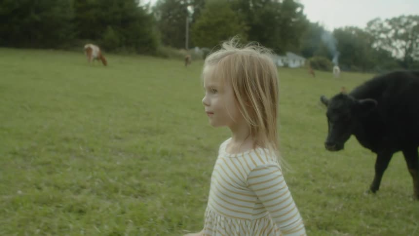A little girl runs in a grassy field and waves to the cows grazing next to her
