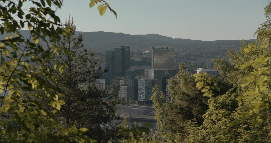 View of a city behind some trees