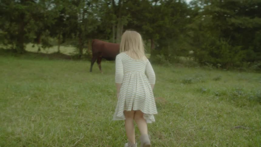 A little girl running towards a cow