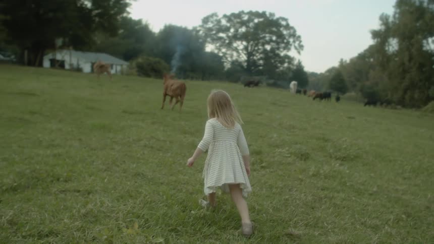 A young girl runs in a large open field toward a small cow