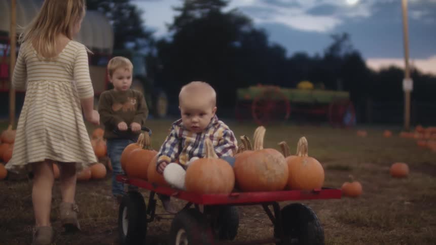 Small kids playing in a cart filled with small pumpkins in a farmers market at evening