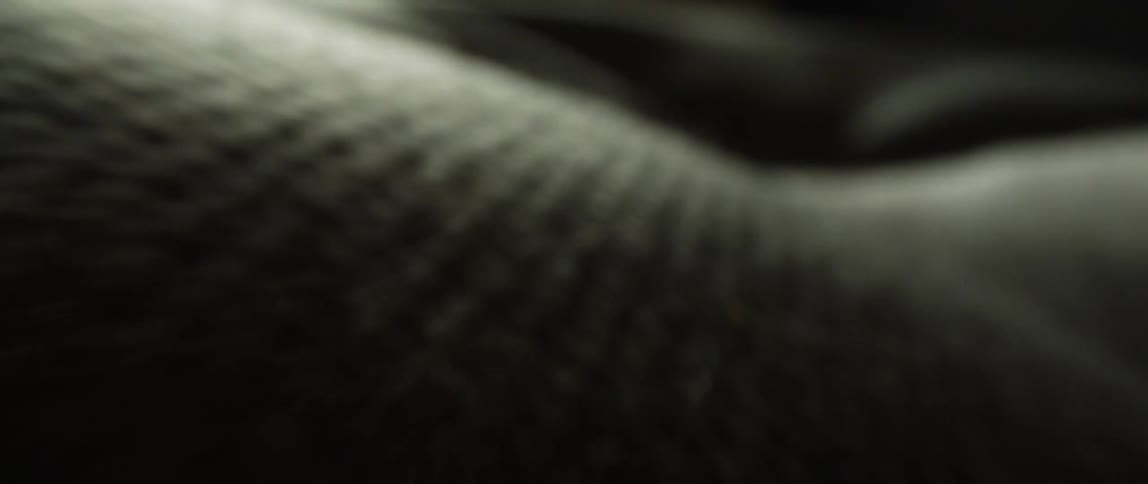 An extreme close up of a couch