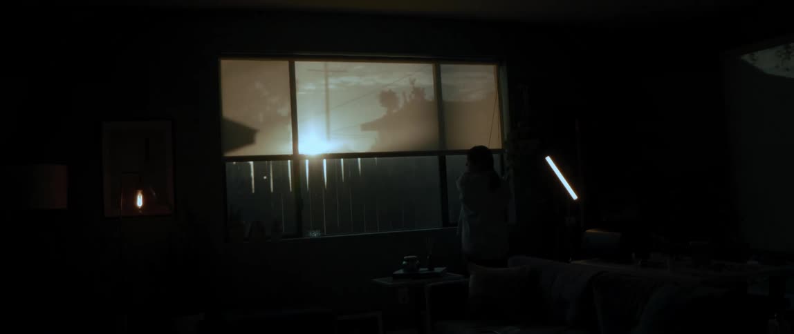 A woman lowers the blinds in her living room as bright sunlight shines through