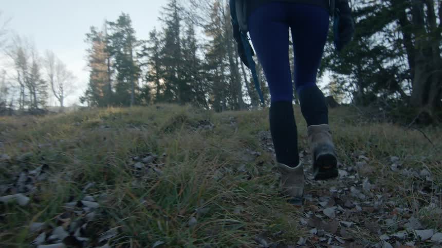 A woman hiking through a forest