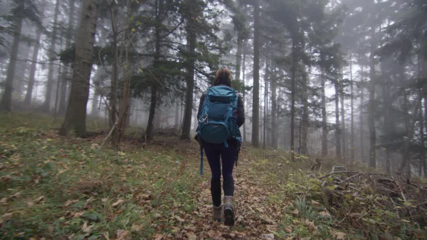 A woman hikes through a forest wearing a large backpack