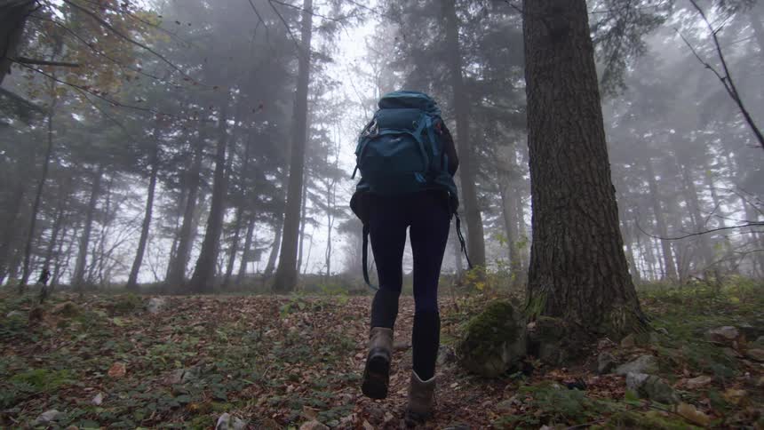 A girl is hiking through a forest