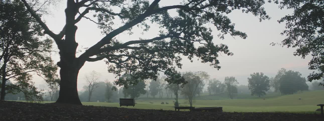 Wide shot of a porch chair swinging from large tree