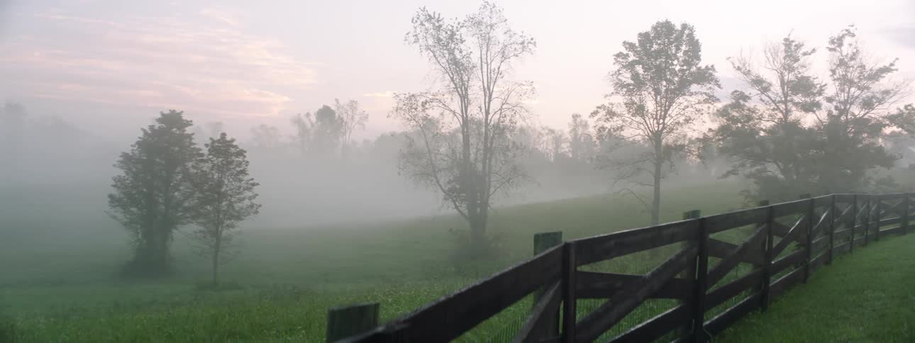 A grassland in the country shrouded in morning fog