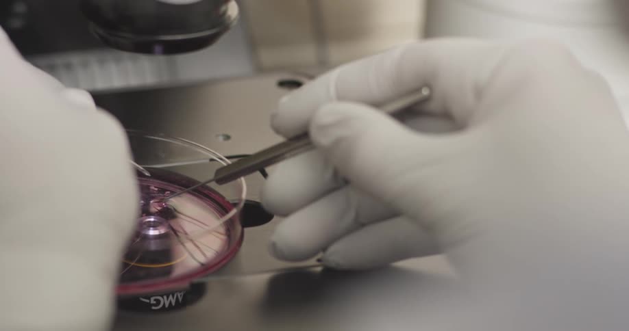 A person with gloves probing a substance underneath a microscope