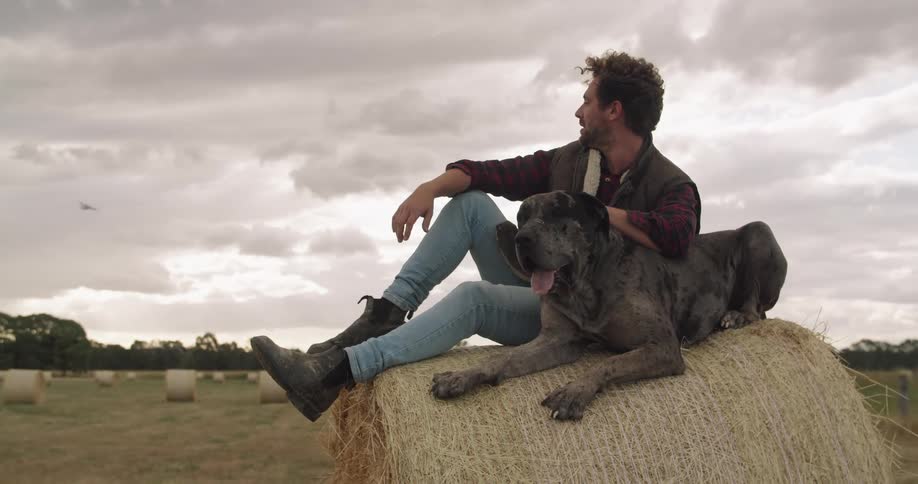 A man and a dog sitting on top of a hay bale