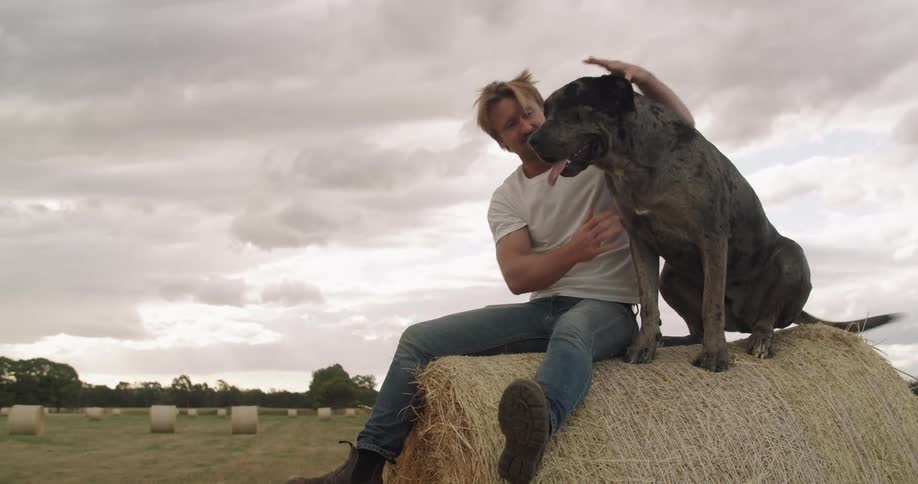 A man pets a dog as he sits with the dog atop a hay bale in a field on a cloudy day