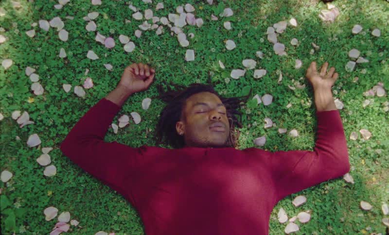A man laying in a field of grass
