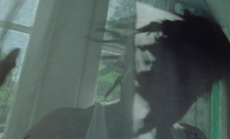 A man shaking his head while under a curtain