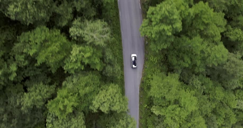 A car travels on a tree lined road