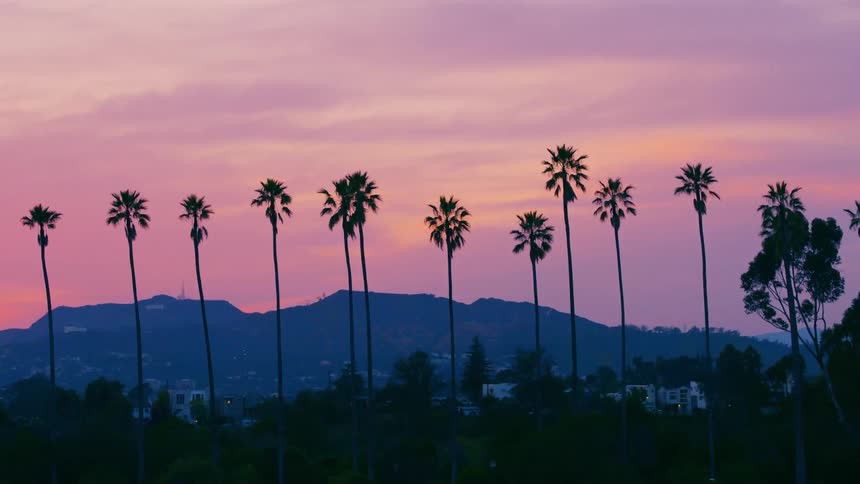 Palm trees and mountains with a colorful pink sunset sky