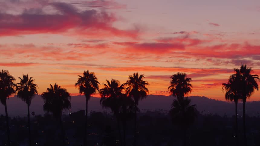 Aerial view of palm trees against a red sky at sunrise
