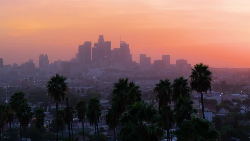 Palm Trees in pink mist reveal the downtown Los Angeles skyline