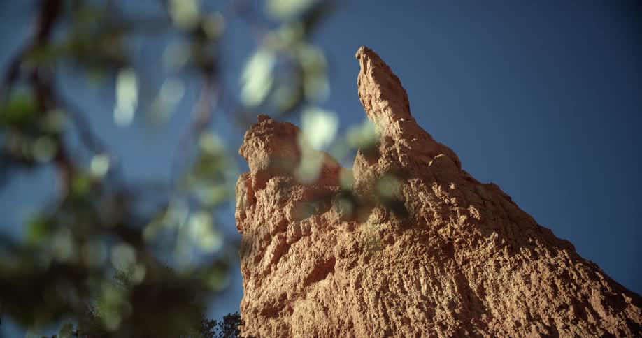 Plants in front of rock pillars on the mountains in the badlands