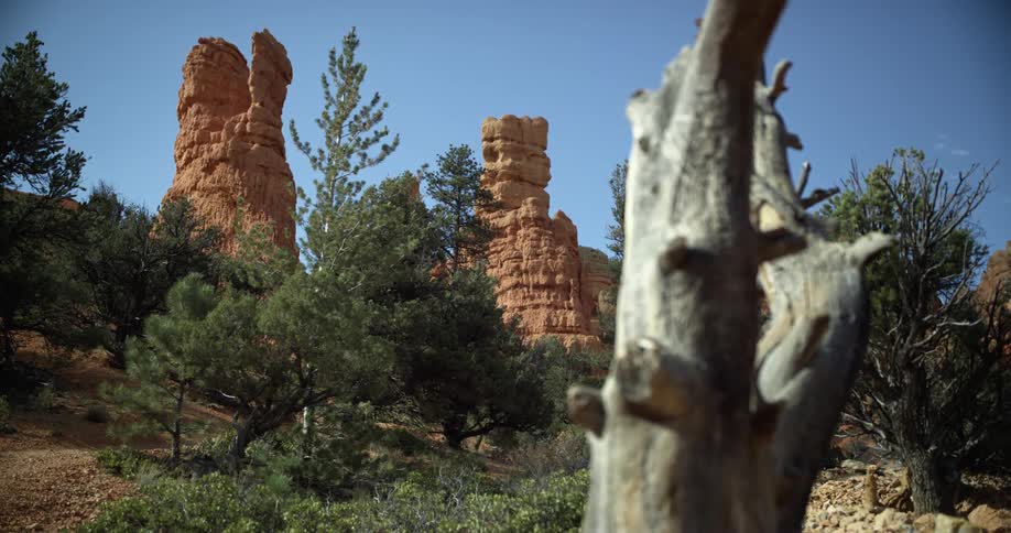 Large rock formations in the wilderness