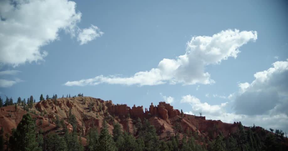 Landscape of a large cliff formation with trees
