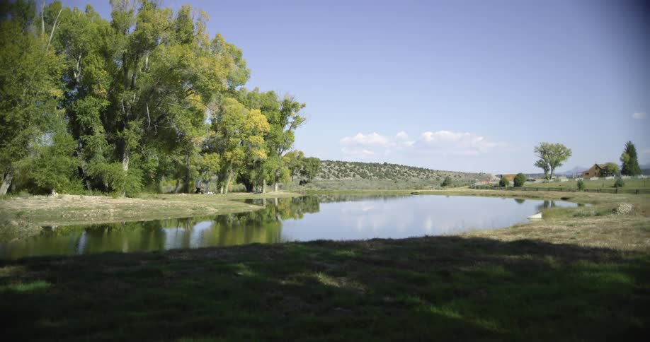Landscape near forest