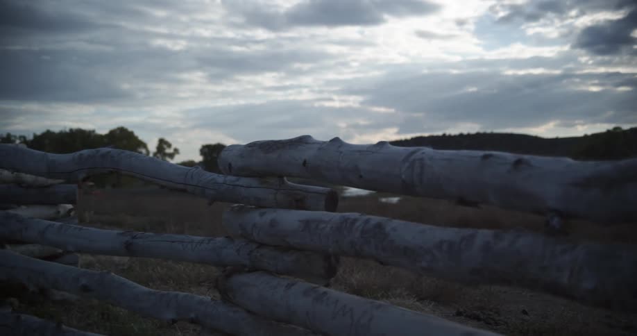A log fence on a farmland
