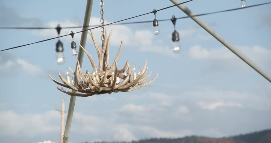 A chandelier made out of animal bones hands from a wire and is surrounded by small bulbs outside