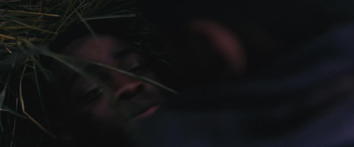 Teenager laying over the grass locked in a fight with other person