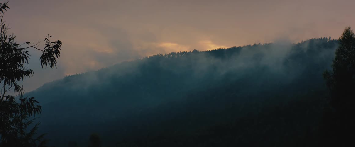 Low clouds hanging over the forests in the mountains at sunset