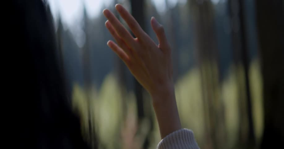 A woman stands with her hand up in a field near a forest