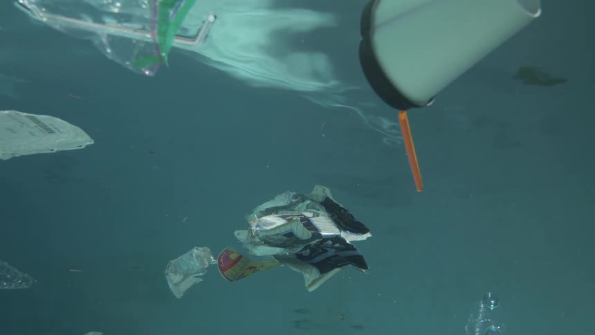 A clump of trash in water