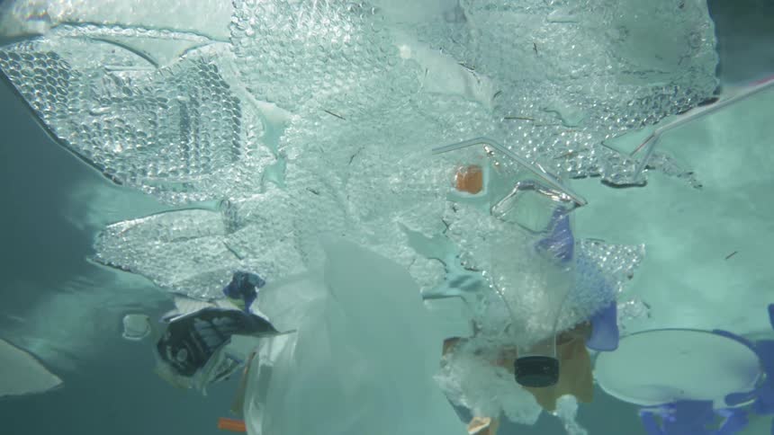 Garbage floating in a swimming pool