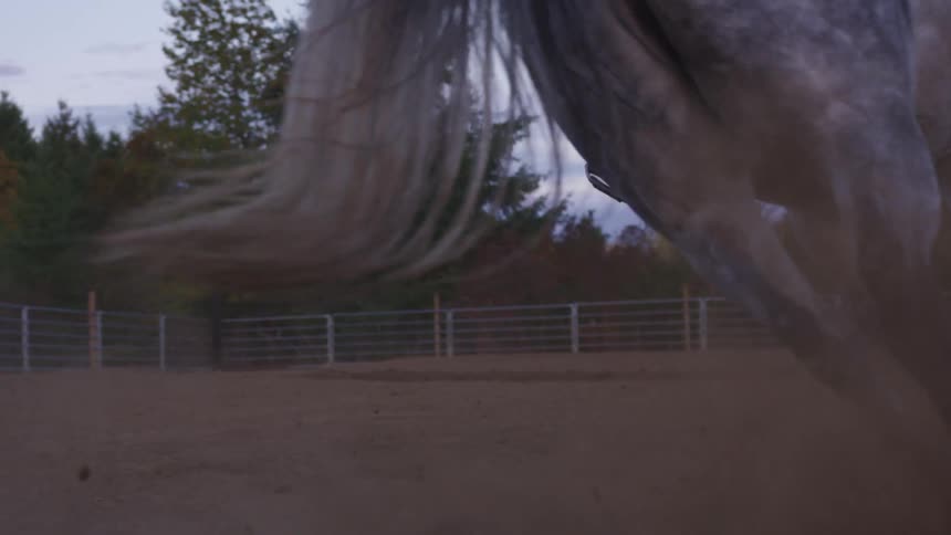 Man galloping over a horse inside a corral at sunset