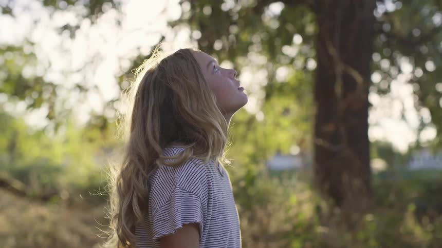 A young girl in a forest stands and looks up at the top of trees