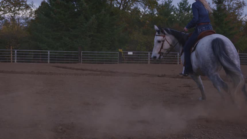 A woman rides a horse on a farm