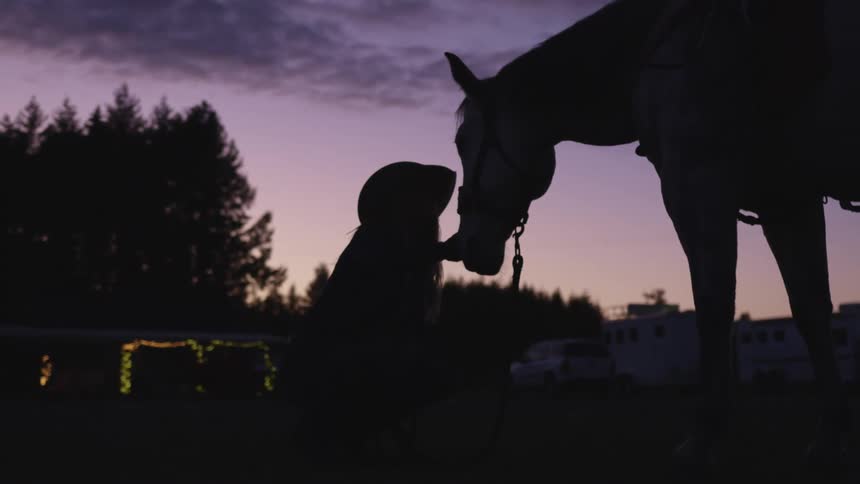 A woman pets a horse