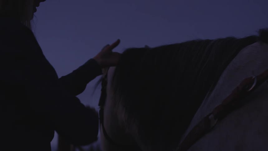 A woman brushing a horse at dusk