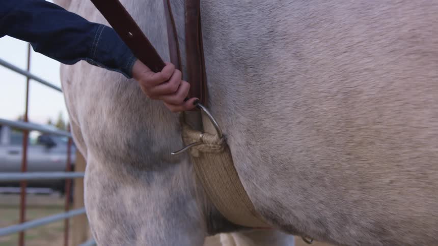 A woman adjusts the saddle on a horse in a corral during the day